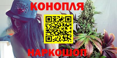 прущие крисы Партизанск