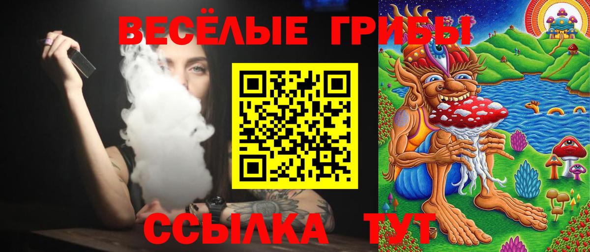 Сатка  Галлюциногенные грибы Psilocybine cubensis  Вход с VPN 